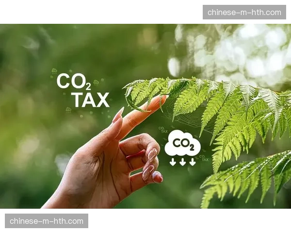 多家俱乐部接受“绿色审计”，评估比赛日运营的碳足迹以应对欧盟新规